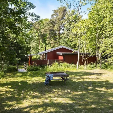 6726-ronne-sahara-3 *