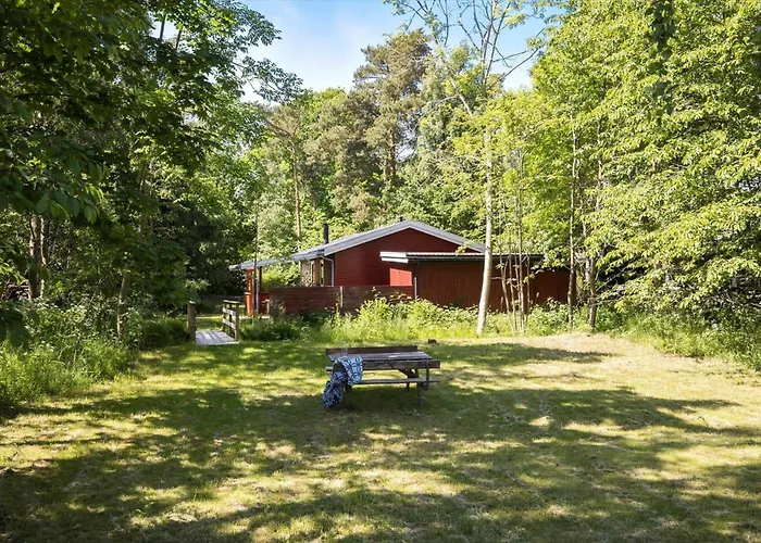 6726-ronne-sahara-3 *